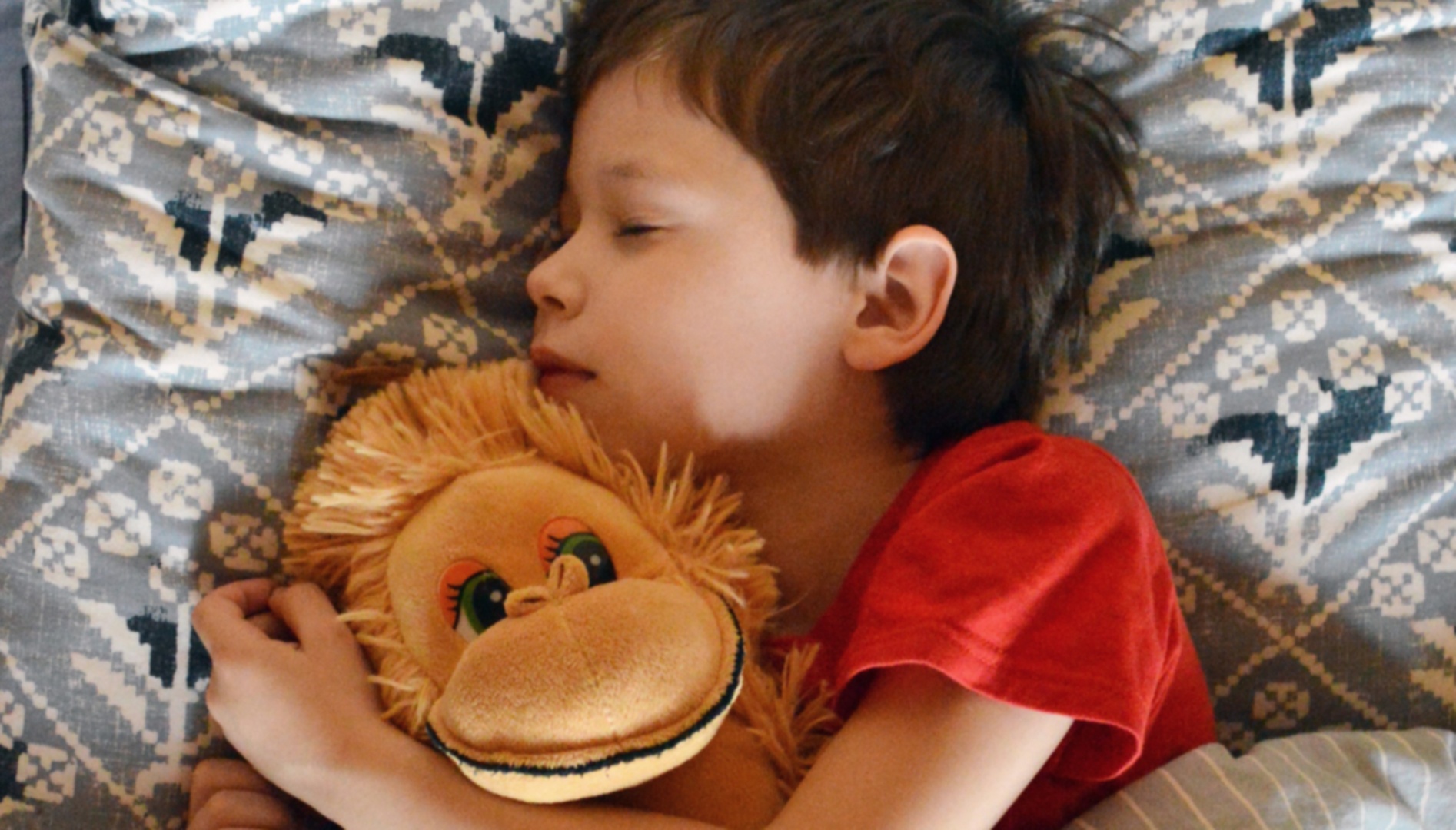 boy sleeping in bed and holding a stuffed animal