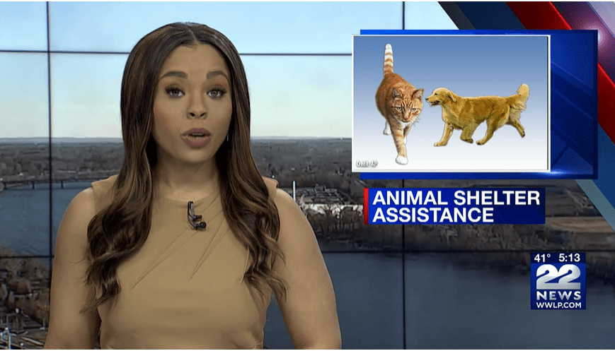 22News coverage of animal shelter assistance
