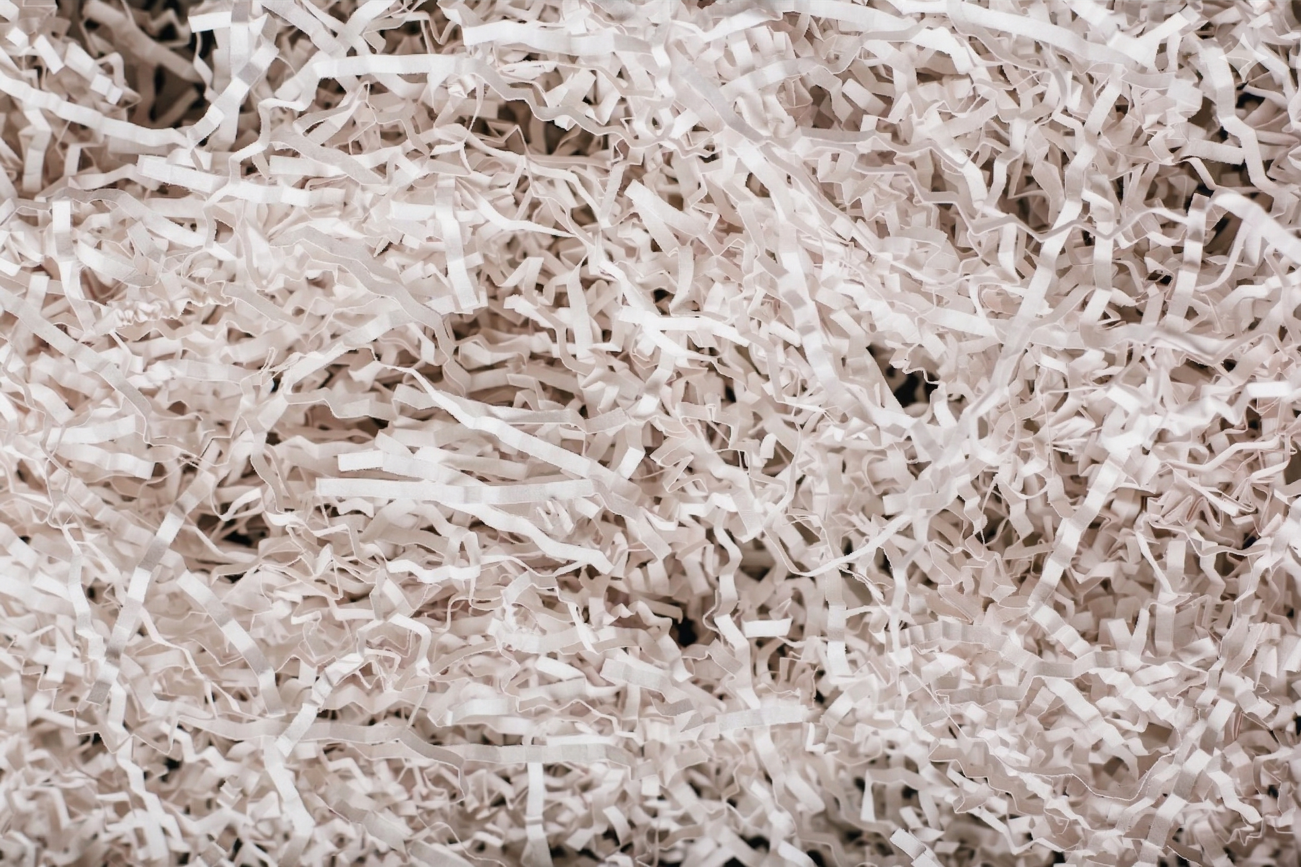 shredded paper