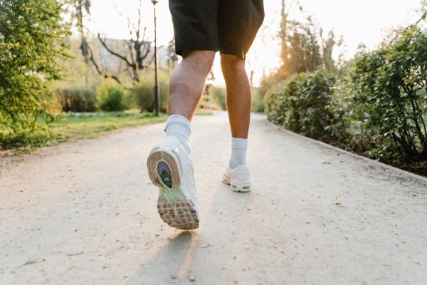 person walking on a path